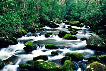 Roaring Fork River, Great Smoky Mountains, Tennessee