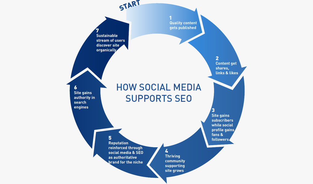 How SEO and Social Media Work Together to Build a Platform